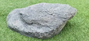Crown Rock