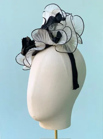Picadilly in Cream and Black